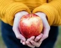Помогают при запорах и лечат диарею: это просто уникальный плод в мире