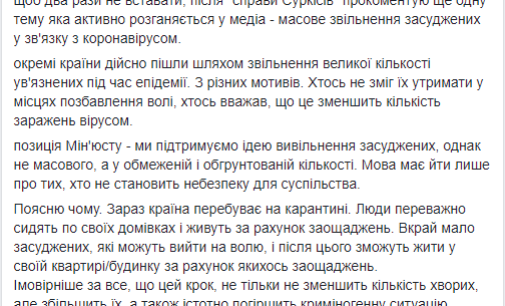 Министерство юстиции против массовой амнистии, – Малюська