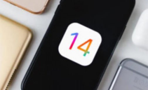 В iOS 14 появится встроенный переводчик, который будет работать без интернета