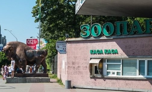 В Киевском зоопарке родилась альпака