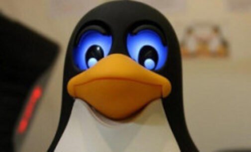 Гибридный ботнет для Windows научился захватывать Linux-системы
