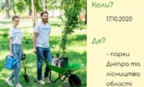 17 жовтня 2020 року пройде акція «1 000 000 дерев за 24 години», прийняти участь може будь-який житель України