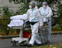 В РФ выявили рекордное число случаев COVID-19 за сутки