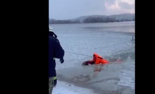 В Киеве спасли собаку, который провалился под лед: видео