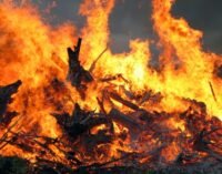 В Киеве в парке «Муромец» масштабный пожар