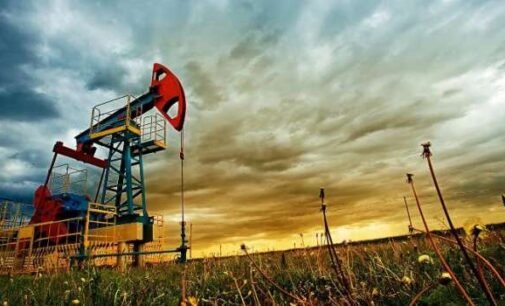 «Полный локдаун уже не грозит»: Эксперт дал прогноз по отрицательным ценам на нефть