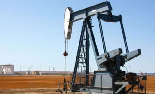 «Будет снижаться»: аналитик рассказал о ценах на нефть до конца этого года