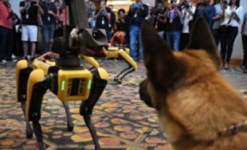 Павло Фукс розповів, чим закінчилася зустріч робопса Boston Dynamics з живою собакою