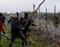 В соцсетях распространяется видео – мигранты штурмуют заграждения на белорусско-польской границе