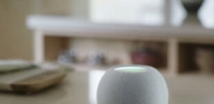 Apple хотела выпустить портативную версию HomePod несколько лет назад