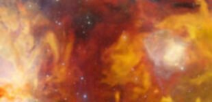 Огонь в космосе: телескоп прислал невероятно красивое фото туманности