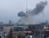 Италия поддержала начало процедуры расследования военных преступлений РФ в Украине