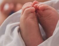 З початку війни у Дніпрі народилися 750 дітей