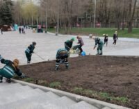 У дніпровському парку висадили чорнобривці на площі 600 м²