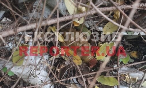 У Дніпрі неподалік залізничних колій знайшли боєприпаси