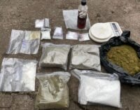 Мешканець Дніпропетровської області організували наркокартель із мільйонним обігом
