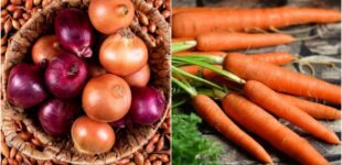 Украинцам показали, как изменились цены на лук и морковь в конце июня