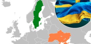 Украинцам в Швеции объяснили, как получить персональный номер