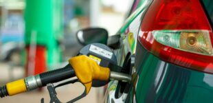 АЗС установили новые цены на бензин, дизель и автогаз перед выходными