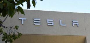 Акции Tesla рекордно выросли после победы Трампа