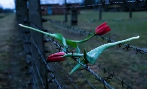 9 декабря: какой сегодня праздник, традиции и запреты