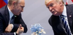 Трамп сам себе создал ловушку в возможных переговорах с Путиным