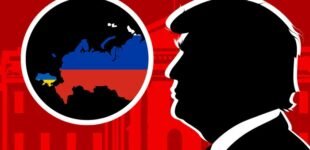 Трамп готовит ловушку для России или Украины?