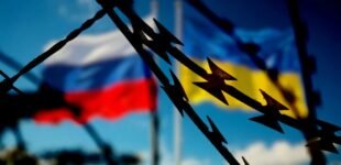 8 мая. Возможна ли украинская история Второй мировой?