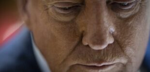 Трамп едва не сорвал обмен между Украиной и Россией