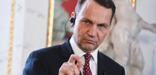 Сикорский: Польша предоставит логистическую поддержку миротворцам, но войска в Украину не отправит