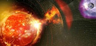 Прогноз магнитных бурь на 25-27 июня: какой будет солнечная активность