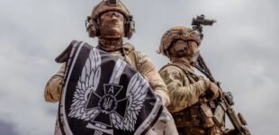 Одно из самых эффективных подразделений на фронте