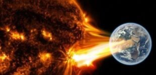 Прогноз магнитных бурь на 19-21 июня: какой будет солнечная активность