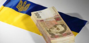 До 3100 гривен: как украинцам получить разовую выплату ко Дню Независимости