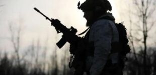 Россия стянула 50 тысяч военных в Сумскую область, превосходя украинские силы втрое, — WSJ