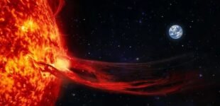 Прогноз магнитных бурь на 10-12 июля: какой будет солнечная активность