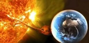 Прогноз магнитных бурь на 30-31 июля: какой будет солнечная активность