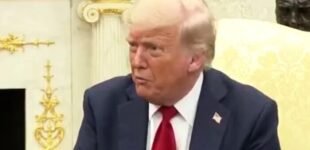 Трамп дал Путину время на оккупацию Херсонской и Запорожской областей?