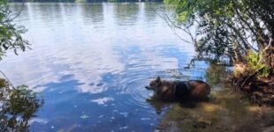 Грозы и похолодание вместо жары: синоптик Диденко сказала, где ждать дождей