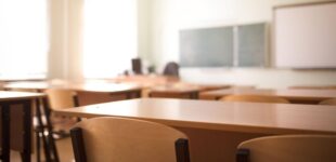 Государственные учебные заведения смогут предоставлять больше платных услуг: обновленный перечень