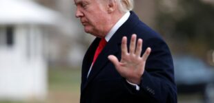Трамп высказался о судьбе украинских беженцев в США