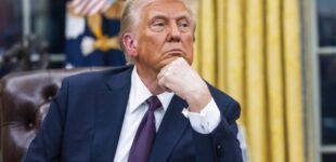 Трамп отправил письма о введении 25% пошлин союзникам США