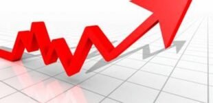 Объем производства сельхозпродукции в январе-июле 2025г сократился на 18,5% — Госстат