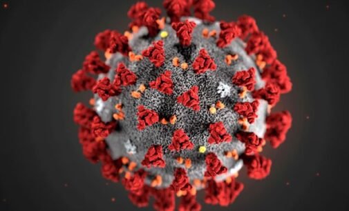 Число госпитализаций из-за COVID-19 в Киеве выросло в разы за месяц — департамент здравоохранения