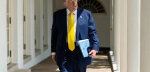 Трамп сравнил войну в Украине с дракой детей