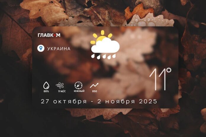 63_main-v1761514013.webp